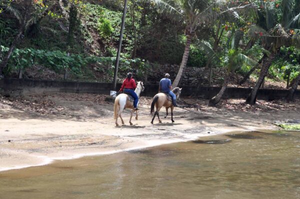 Horseback Excursion Roatan