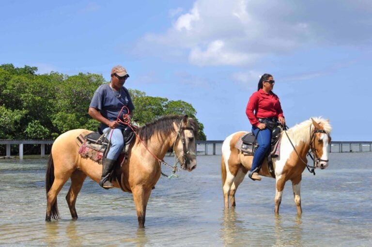Horseback Riding West End Roatan