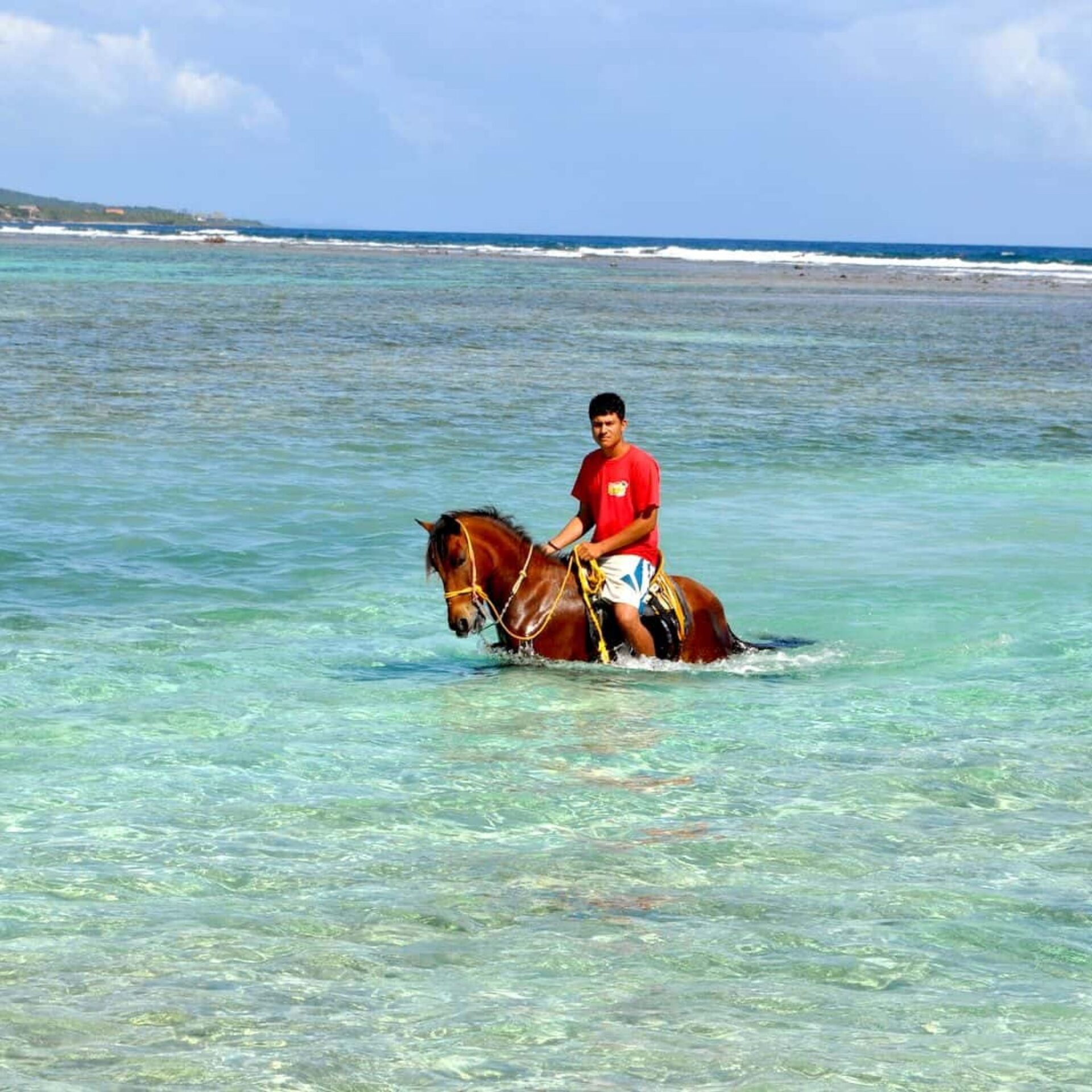 Little French Key Horseback riding Swim