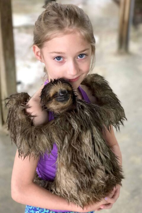Roatan Sloth Sanctuary Honduras