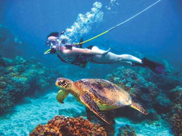 Roatan Snuba Diving Excursion