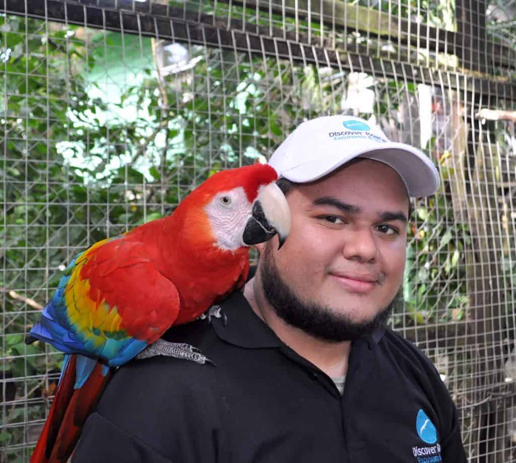 Roatan Tour Guide Coordinator