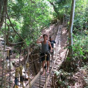Jungle Top Canopy Zipline Excursion
