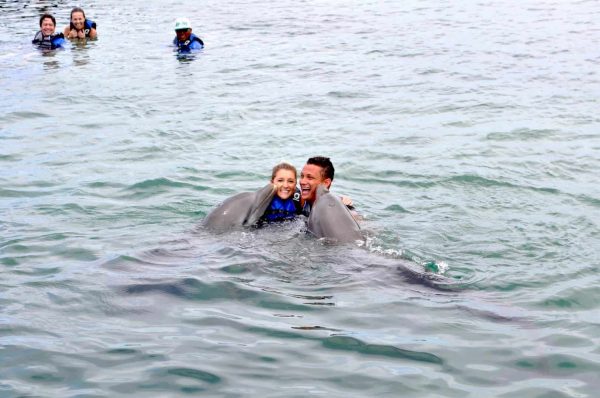 Roatan Dolphin Action Swim