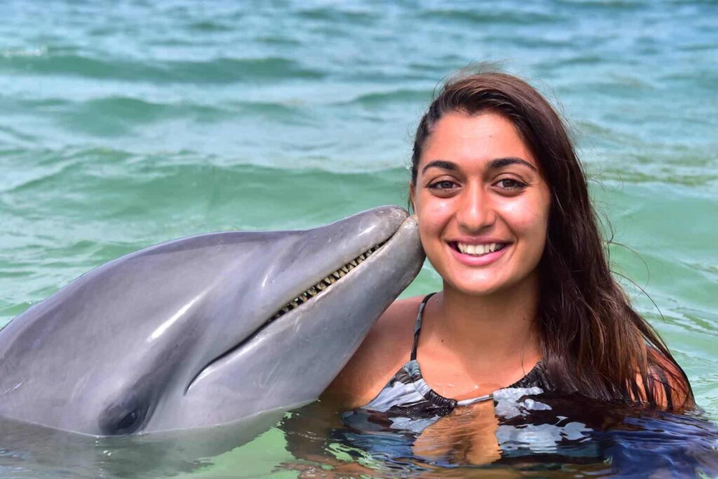 Roatan Dolphin Cruise Excursion