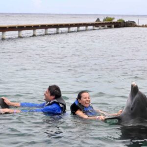 Roatan Dolphin Excursion