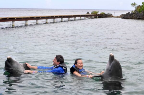 Roatan Dolphin Excursion