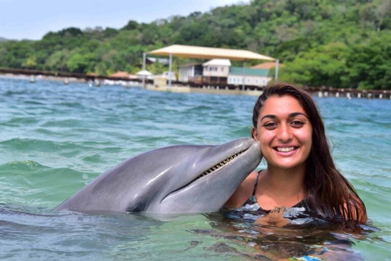 Roatan Dolphin Excursion Honduras
