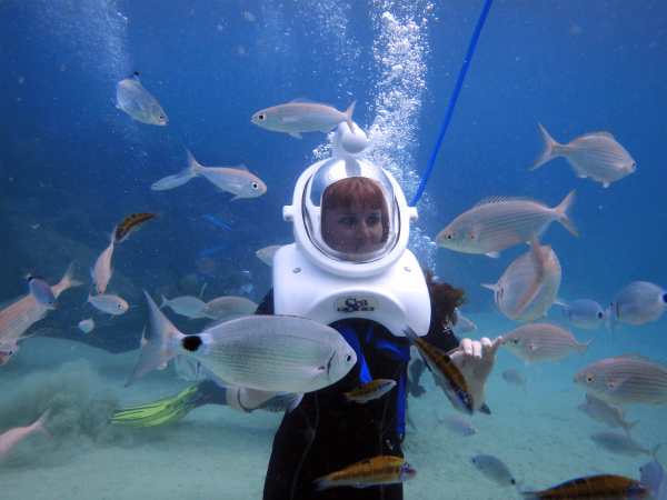 Roatan Sea-TREK Helmet Dive - Discover Roatan™ Excursions & Tours