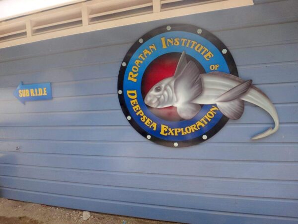 Roatan Institute of Deep Sea Exploration