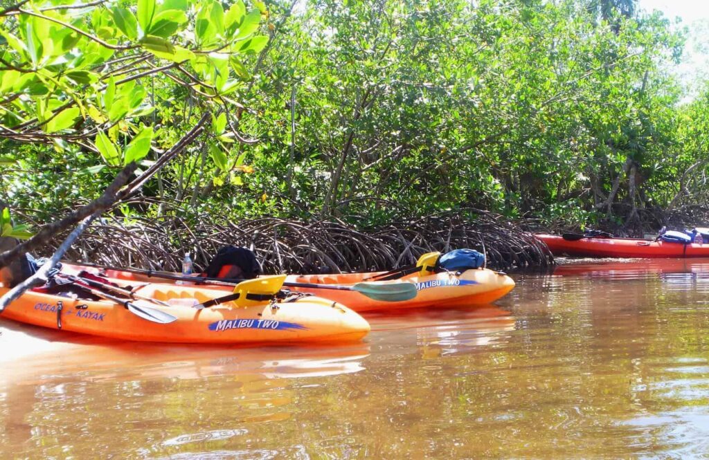Half Moon Bay Kayak Tour