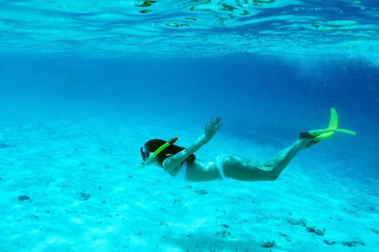 Half Moon Bay Roatan Snorkel Excursion