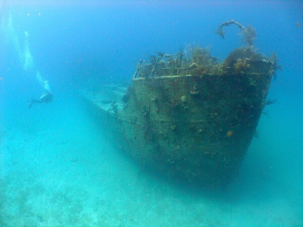 Roatan Shipwreck Snorkel Cruise Excursion