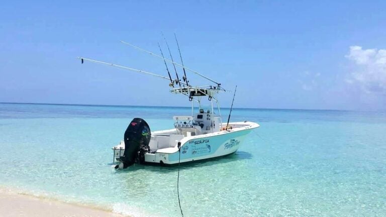 Roatan Shipwreck Snorkel Excursion