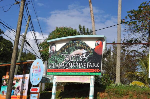 Arch's Iguana & Marine Park Excursion