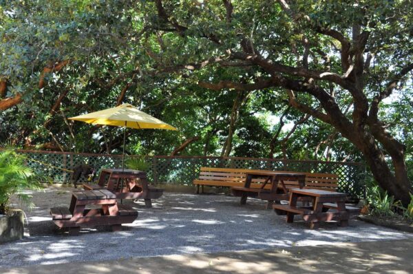 Arch's Iguana & Marine Park Rest Area