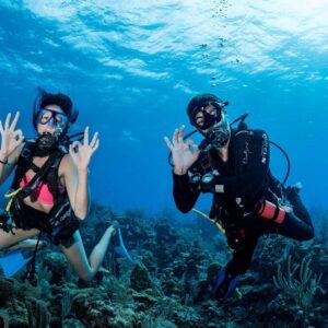 Scuba diving Excursion Roatan Honduras