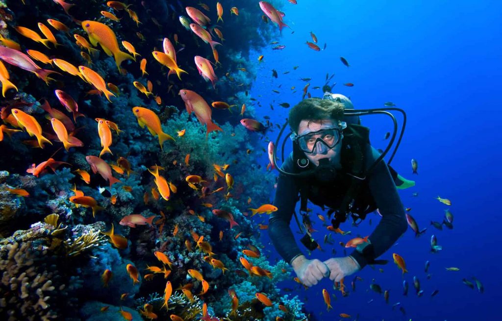 Roatan SCUBA Diving