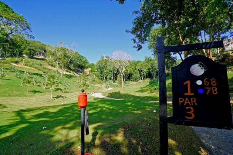 Roatan Golfing Cruise Excursion
