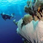 Infinity Bay Resort | West Bay, Roatan