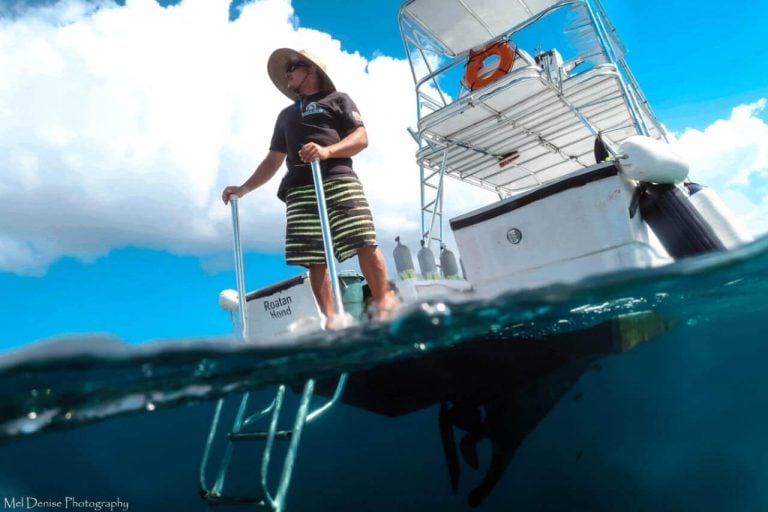 Scuba roatan excursion