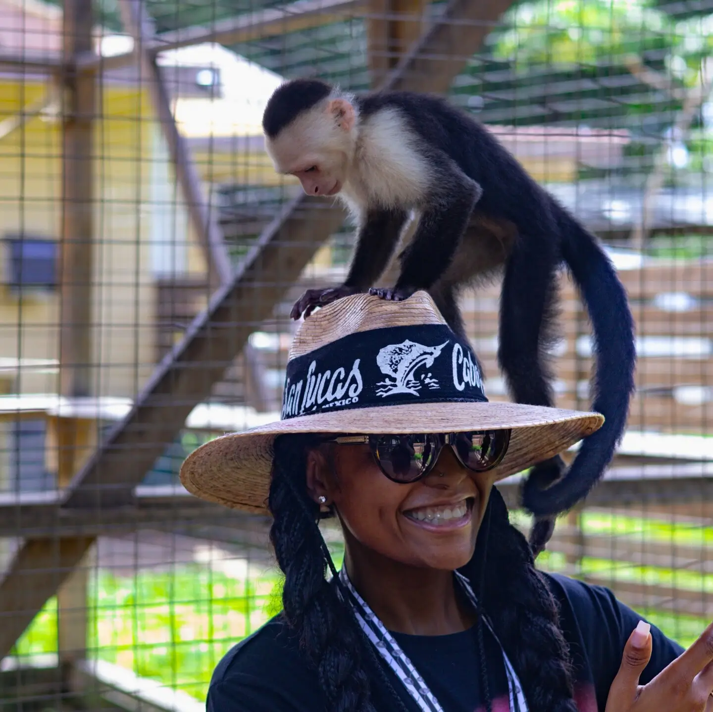 AJ's Capuchin Monkey Honduras