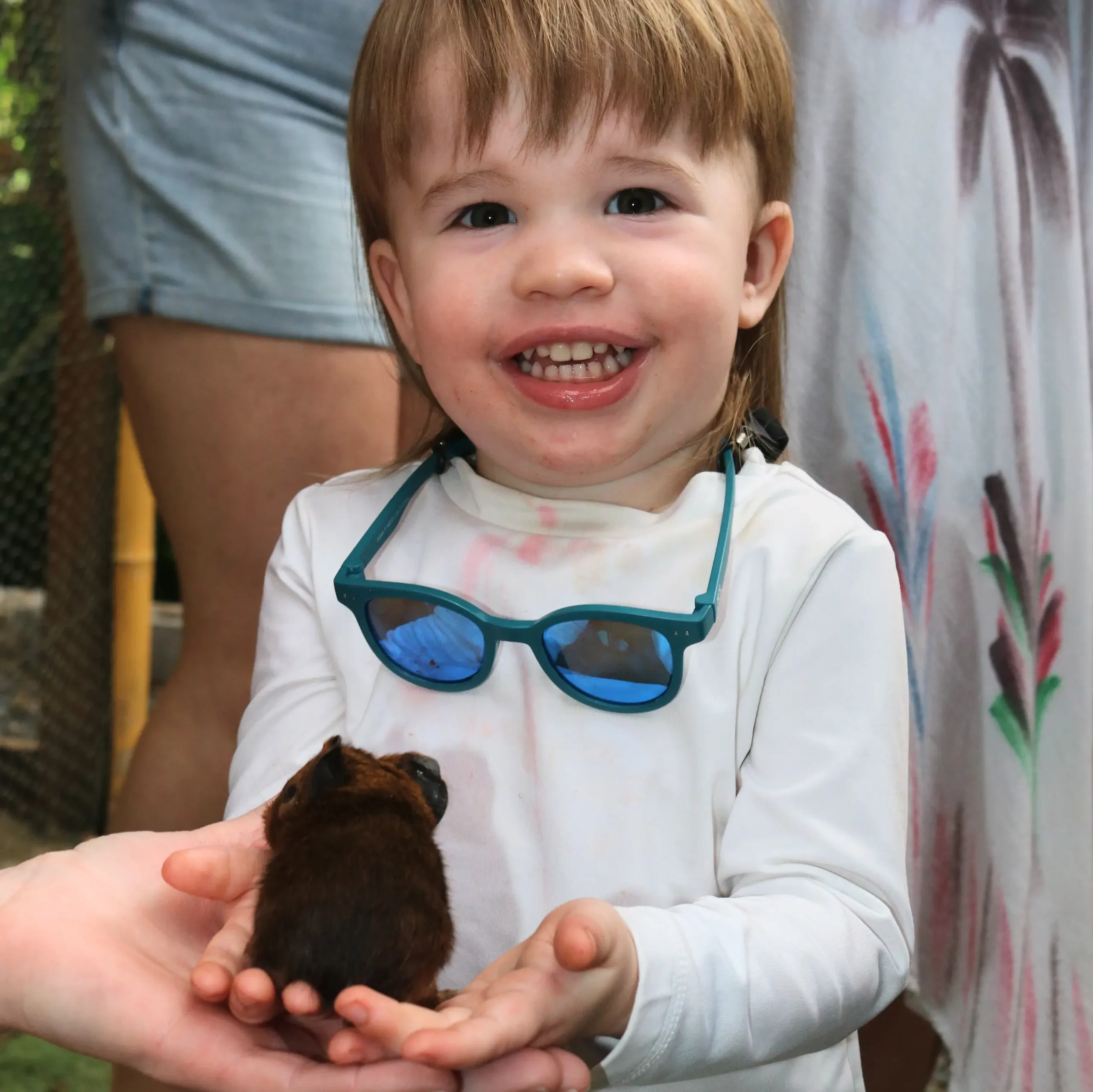 AJ's Monkeys & Sloths - Image 3