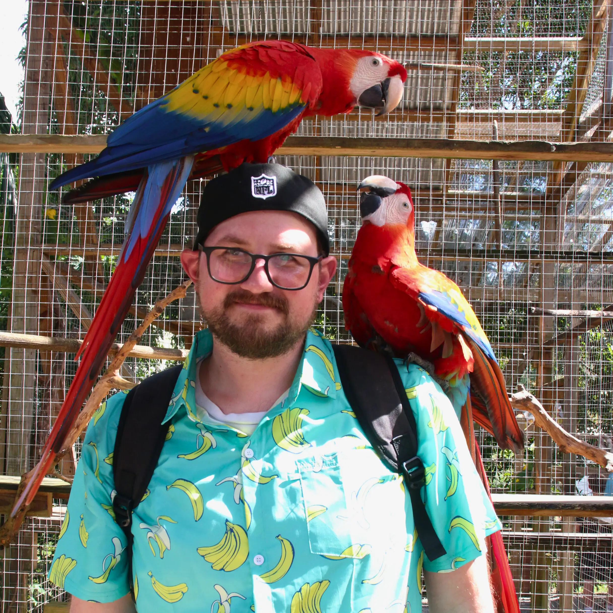 AJs Park Macaws Roatan Honduras