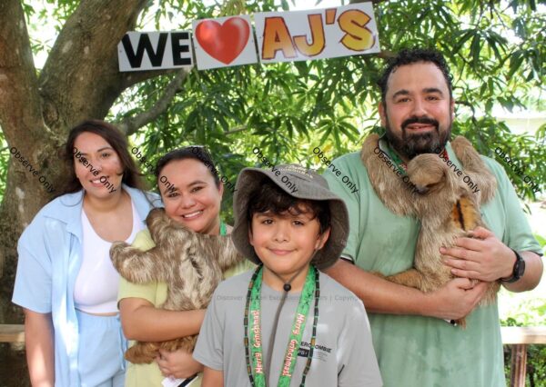 AJ's Monkeys & Sloths - Image 2