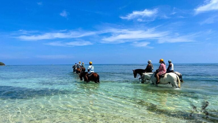 Isla Tropicale (Mahogany Bay) Horseback Ride