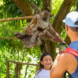 AJ's Monkeys & Sloths Roatan Honduras