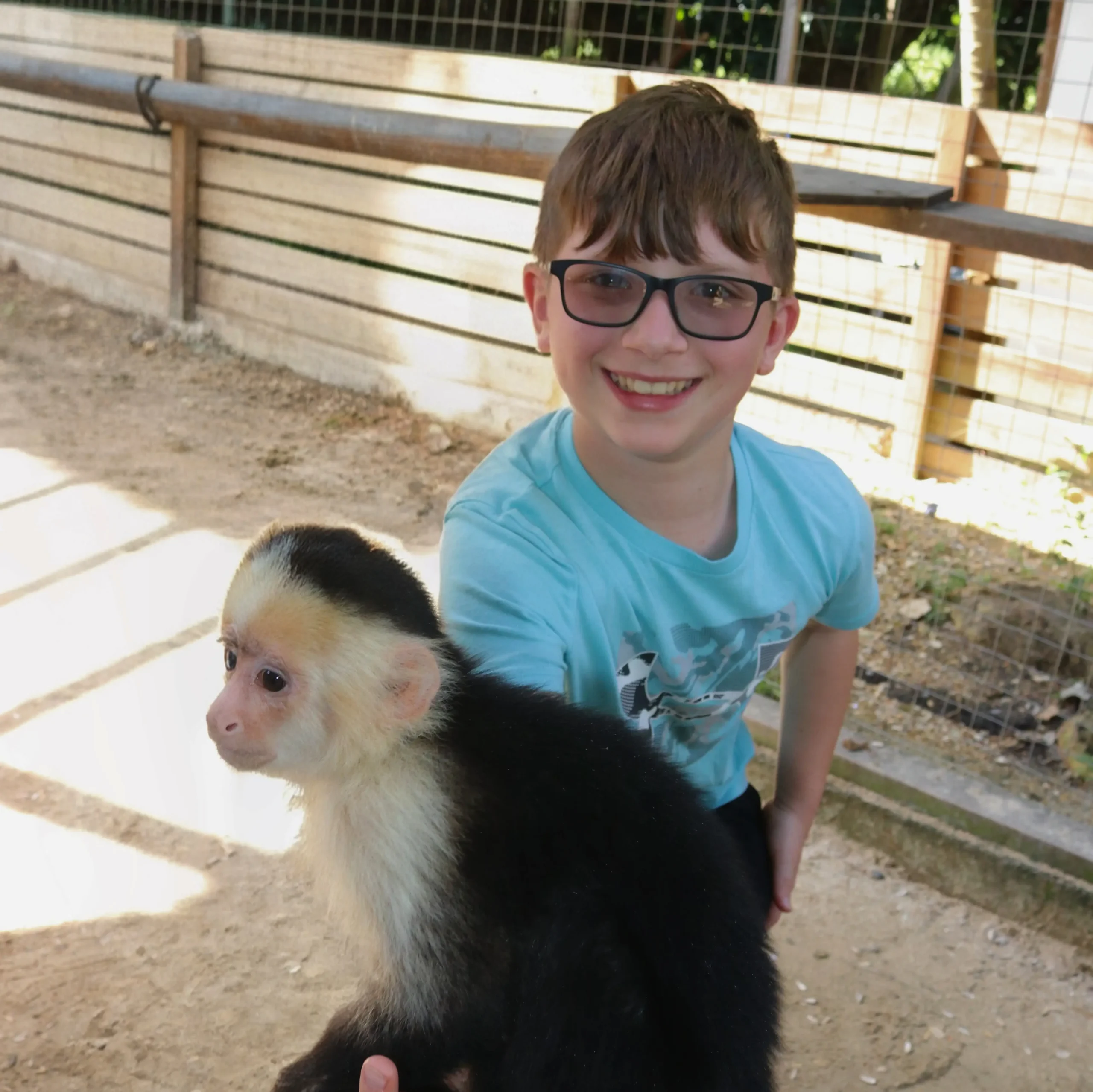 Roatan Animal Park Capuchin Monkeys