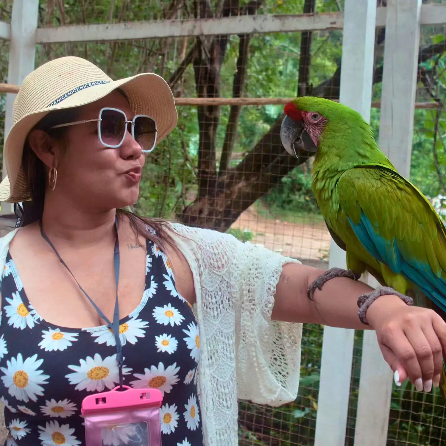 Jungle Top Animal Park Tour