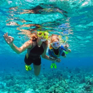 Roatan One-spot Snorkel Tour