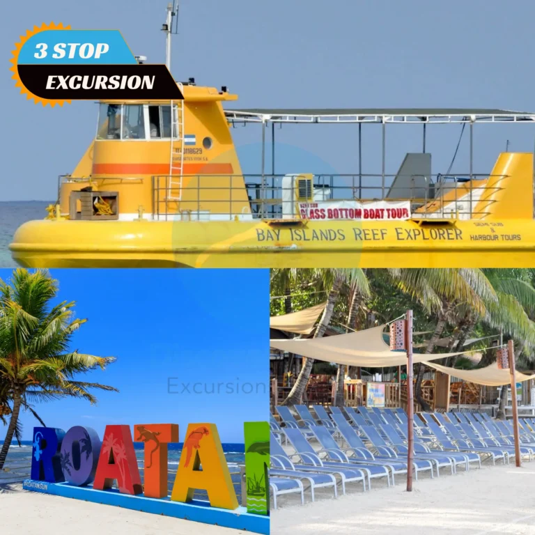Roatan Semi-Sub Tour + Beach Resort Day Pass + Roatan Sign
