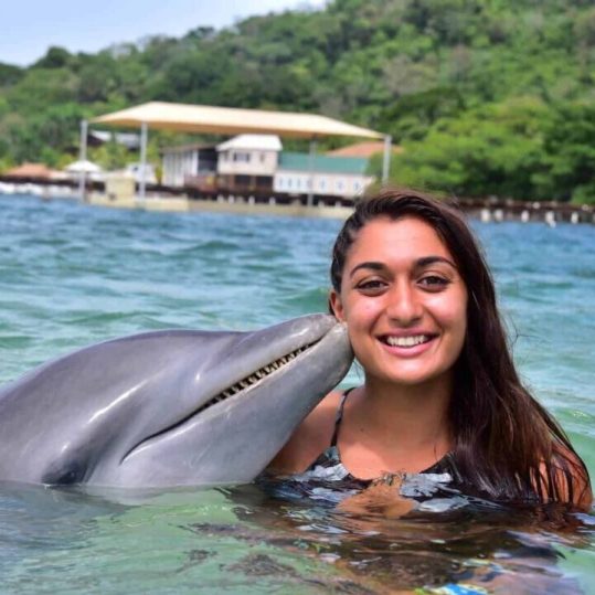 Roatan Dolphin Excursion Honduras